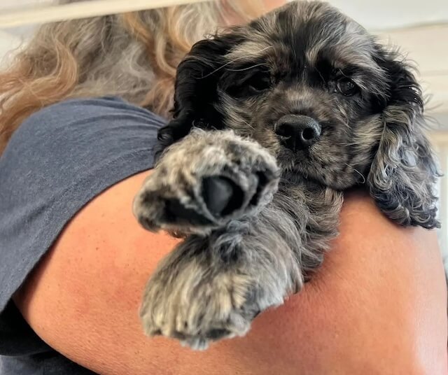 Veterinary hospital in West Columbia