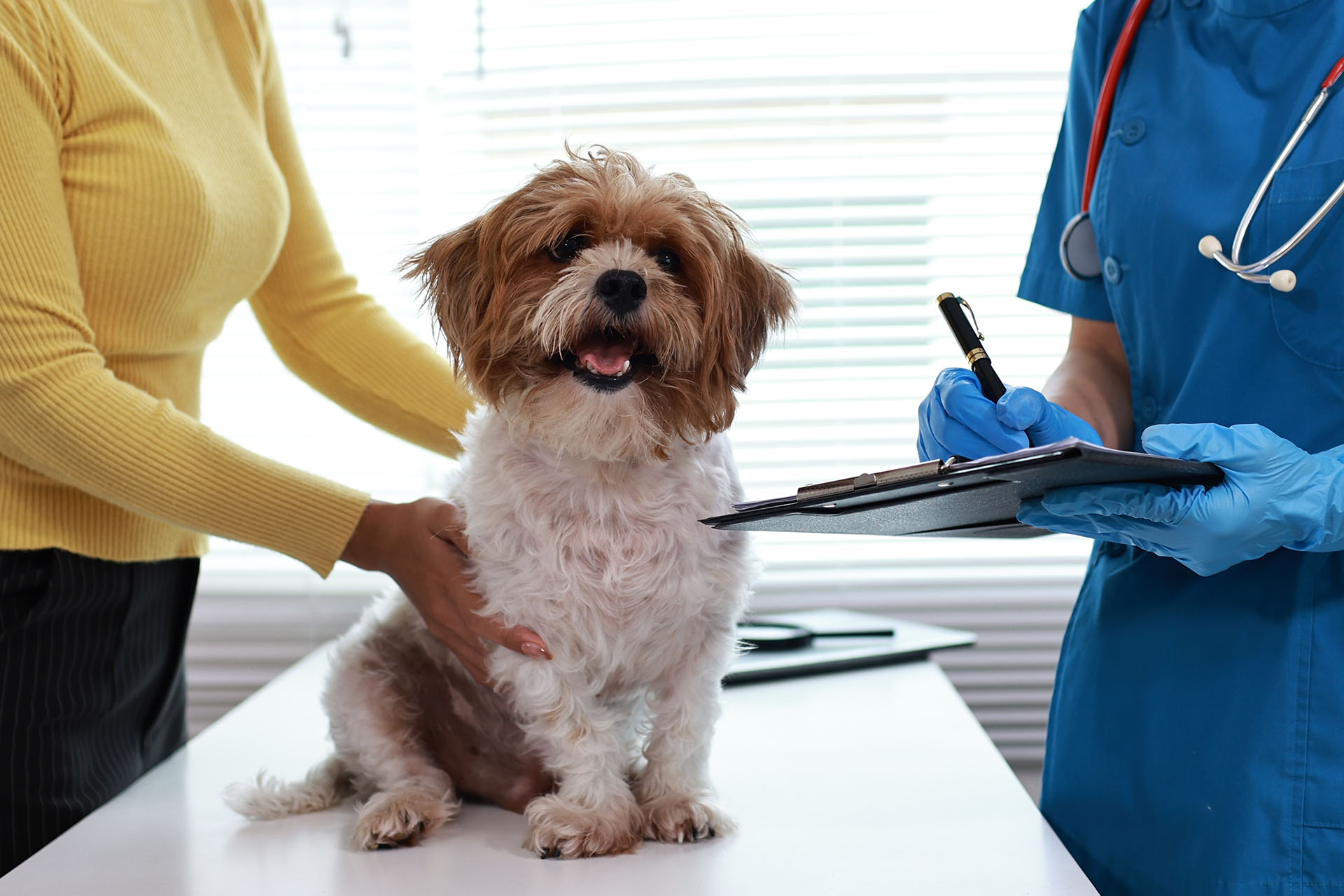 West Columbia Veterinarian Mobile