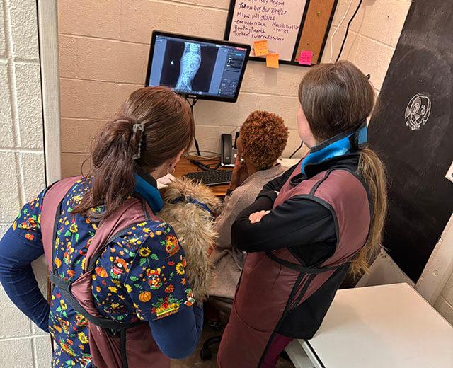 Digital Radiography & Ultrasound