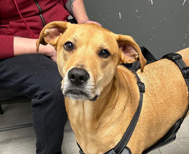 Urgent Same-Day Care