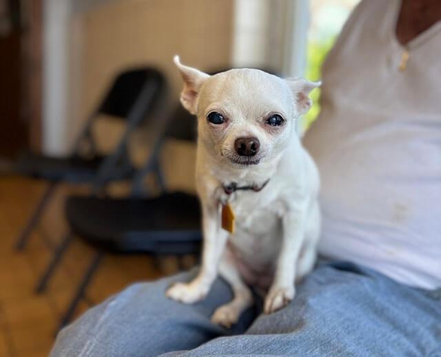 Senior & Geriatric Care